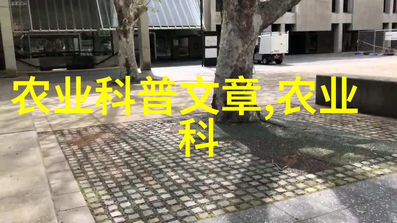 科学养羊学精准饲养与优质产品的双赢策略