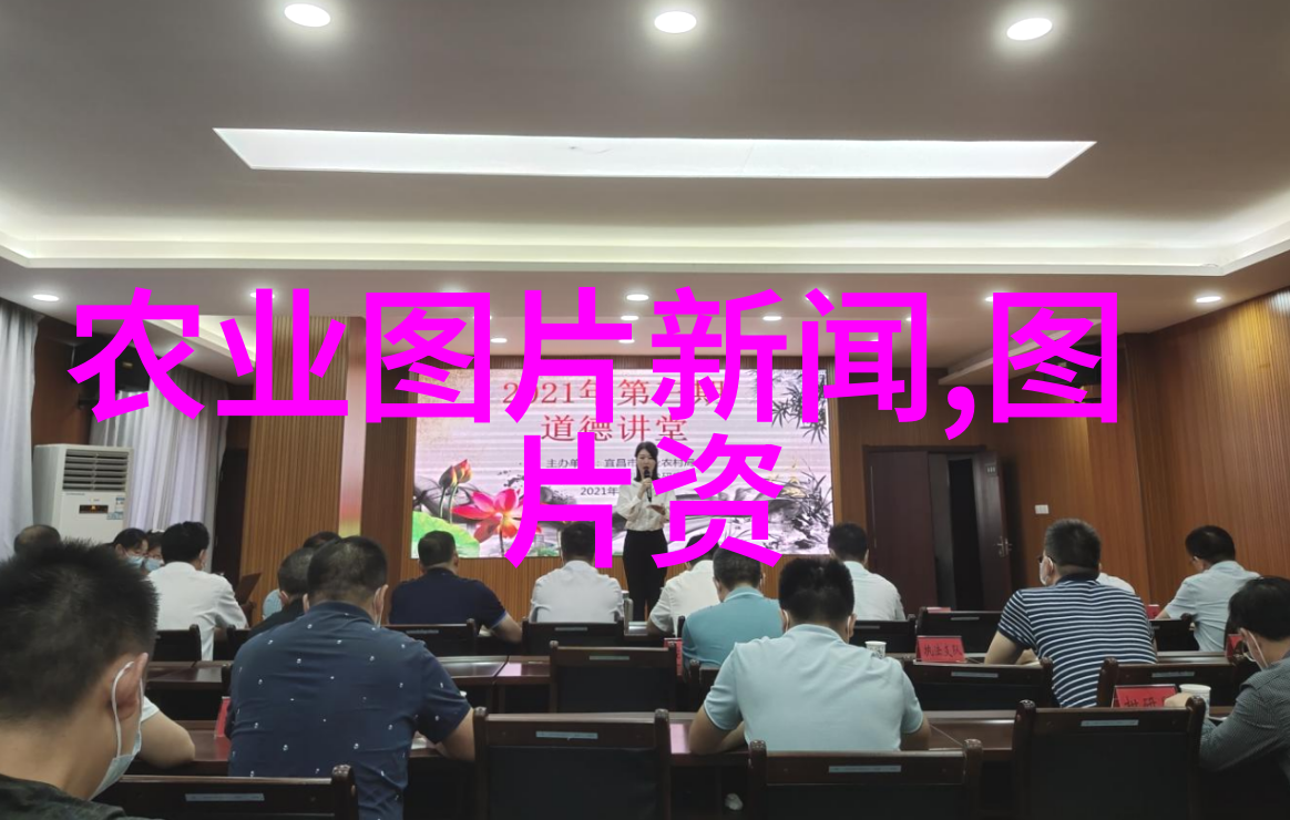 蜜蜂养殖入门知识我是怎么开始养蜜蜂的一条条简单入门指南