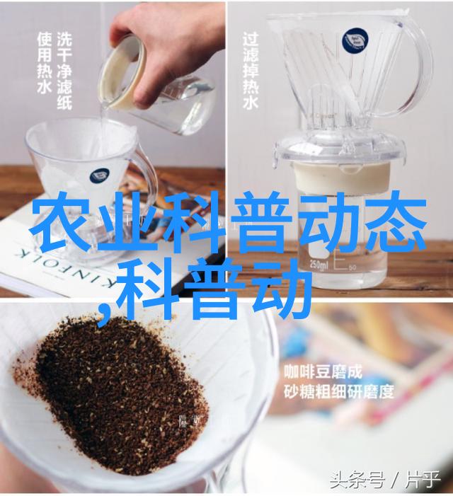 山东轻工职业学院带你探索黄骨鱼的精彩食谱