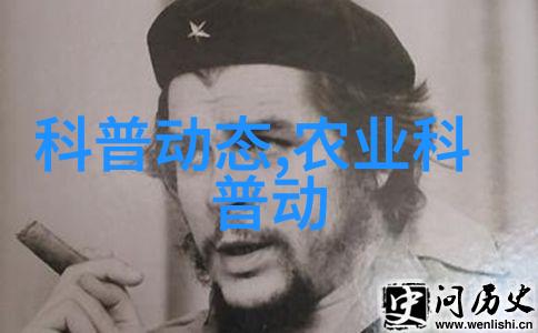 中国大型养殖场羊群规模剖析数字与行业发展