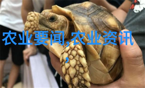 现在有什么新型农机 我眼中的未来最新一代智能耕种器