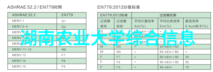 养蜂百科蜂巢结构与管理技巧