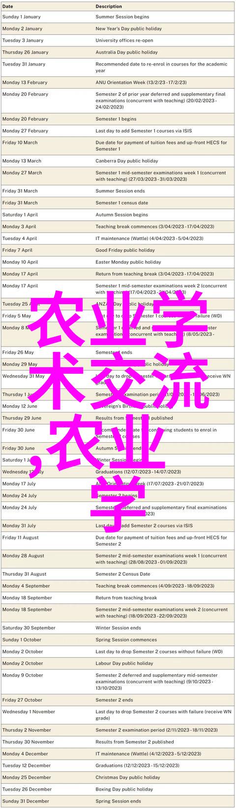 黄粉虫养殖技术视频我是如何通过这些小窍门让黄粉虫养殖变得简单又高效的