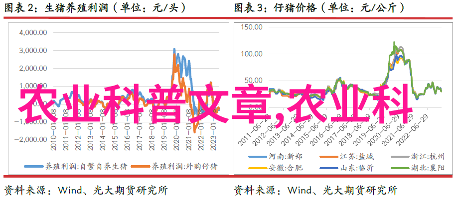 中国茶叶文化探秘品味千年传承的香醇之韵