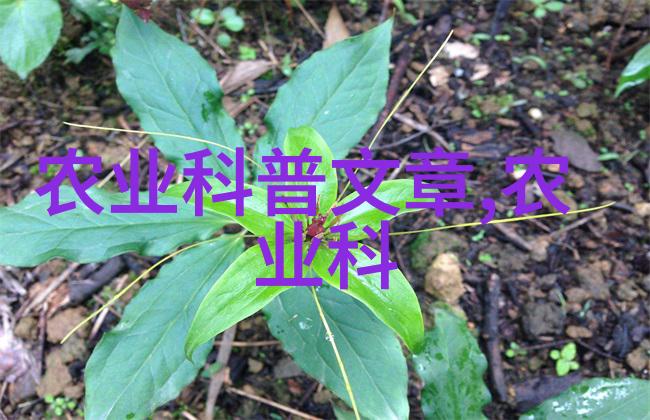 小苏打加油助力淡水养殖技术在自然环境中的应用探究