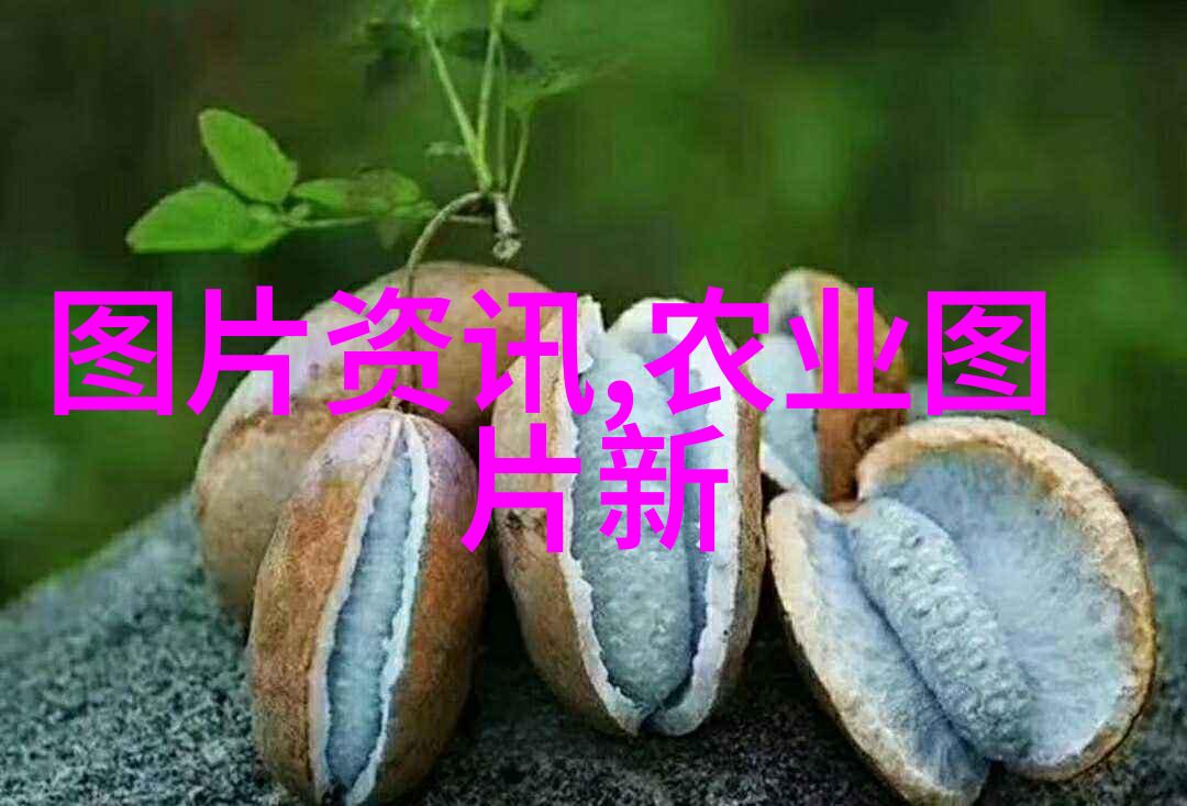 农机作业全过程耕播施收