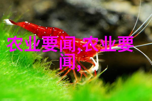 蜂蜜梦工厂养蜜蜂技术视频全集