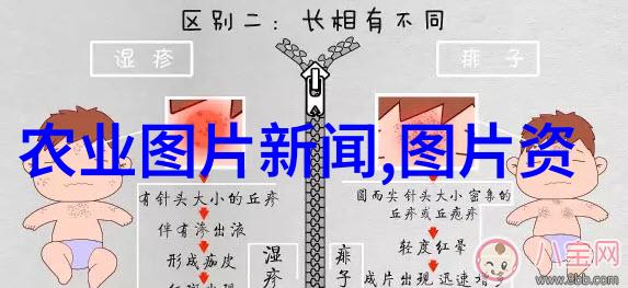 蜜蜂养殖技术的实用指南