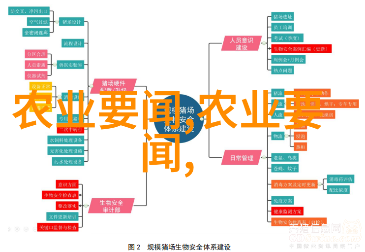 技术进步促进效率是否能稳定化解2022年肉牛价格涨幅