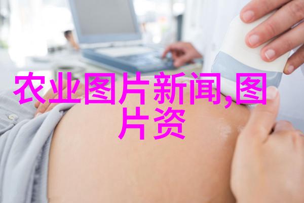 兔子养殖技术与管理实用指南