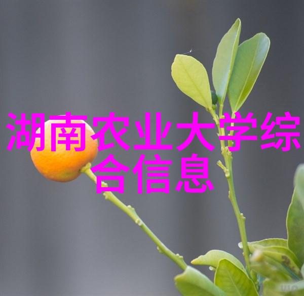 主题我是怎么把蜂分得最成功的