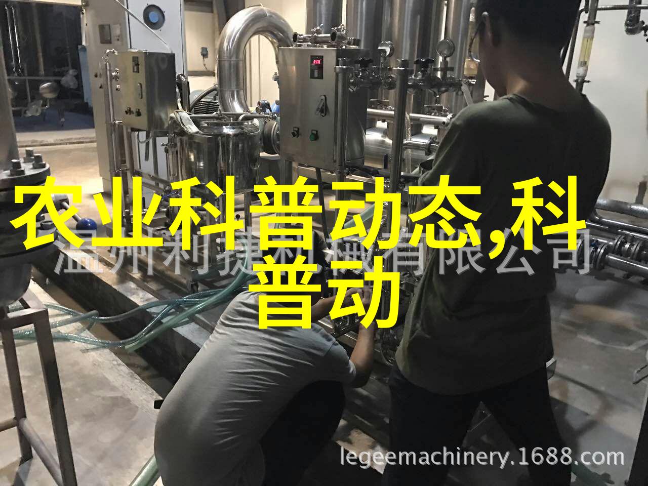 茶叶的独特风味绿茶红茶白茶乌龙茶