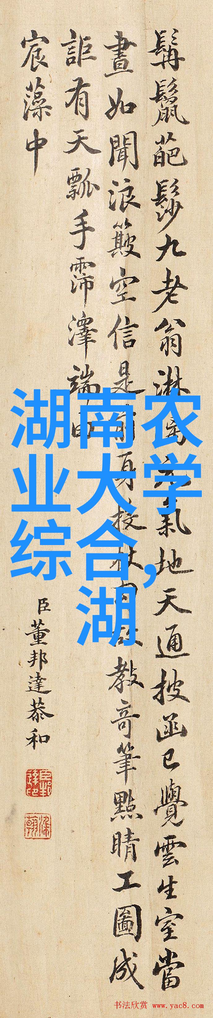 泥鳅养殖技术亩产 - 高效益的水生动漫新宠深度解析泥鳅养殖亩产技巧