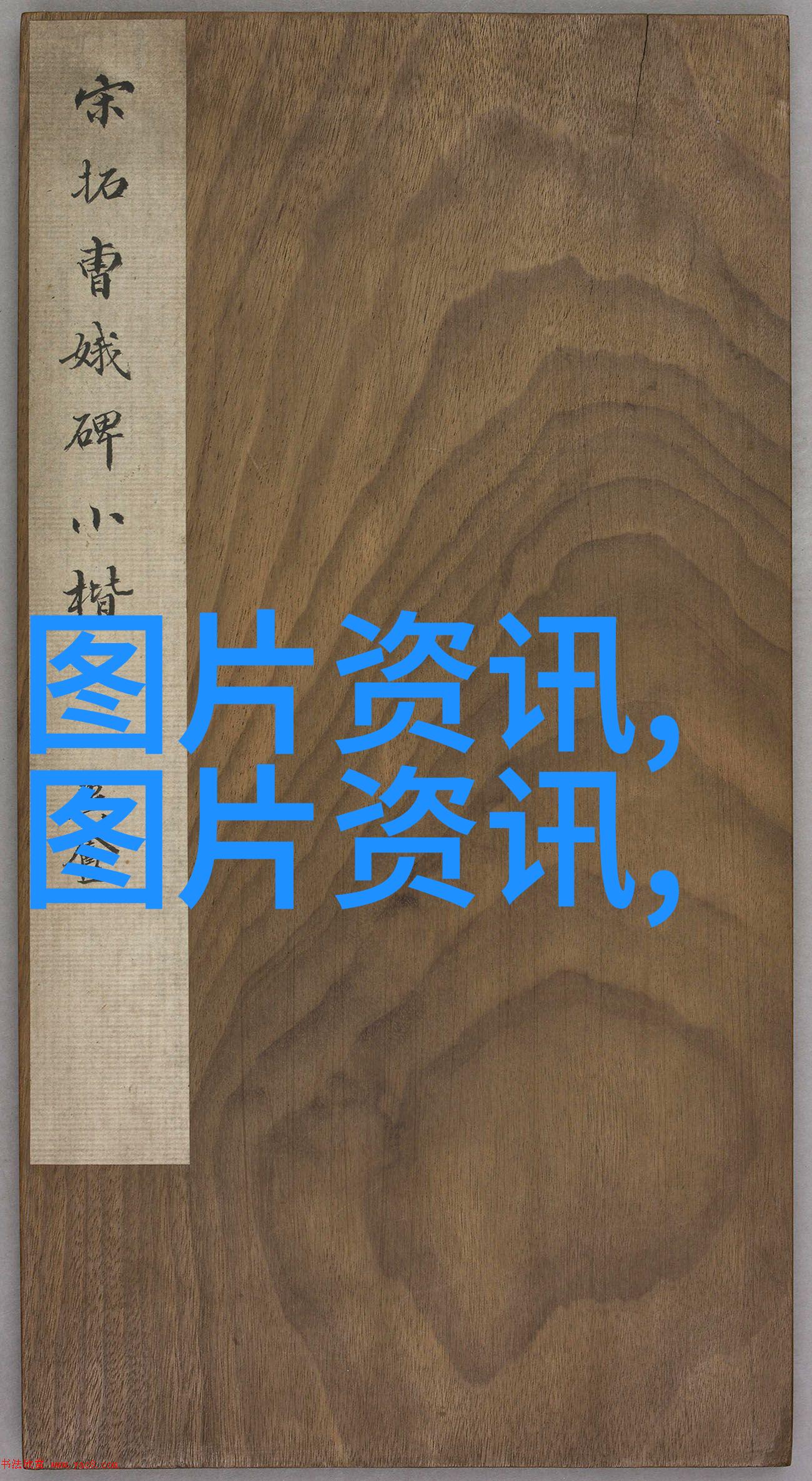 养鱼技术全集-精准水质管理与健康鱼类养殖技巧