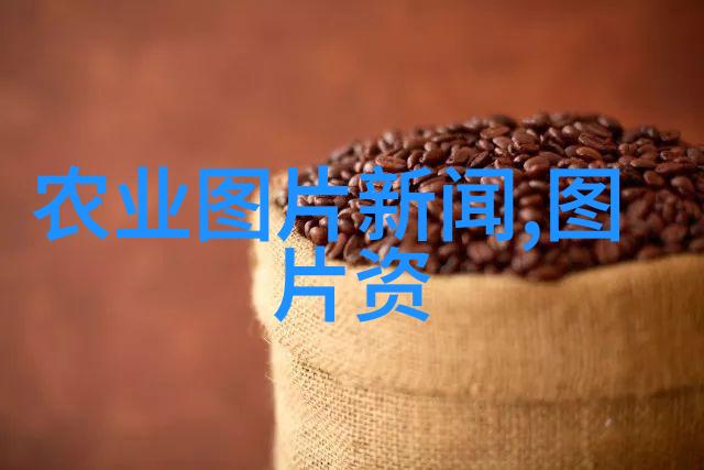 茶树学生长环境品种特性与栽培技术的研究