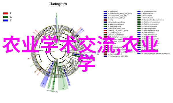 年代文里的炮灰真千金揭秘那些被历史遗忘的英雄们