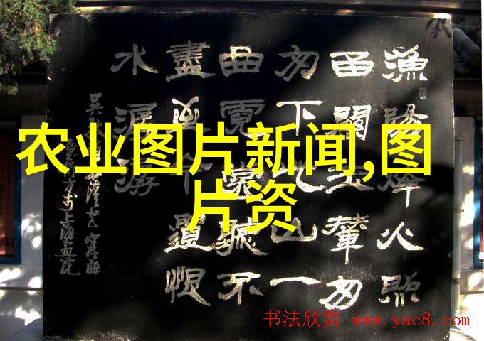 秸秆打包机器人高效农业废弃物处理解决方案