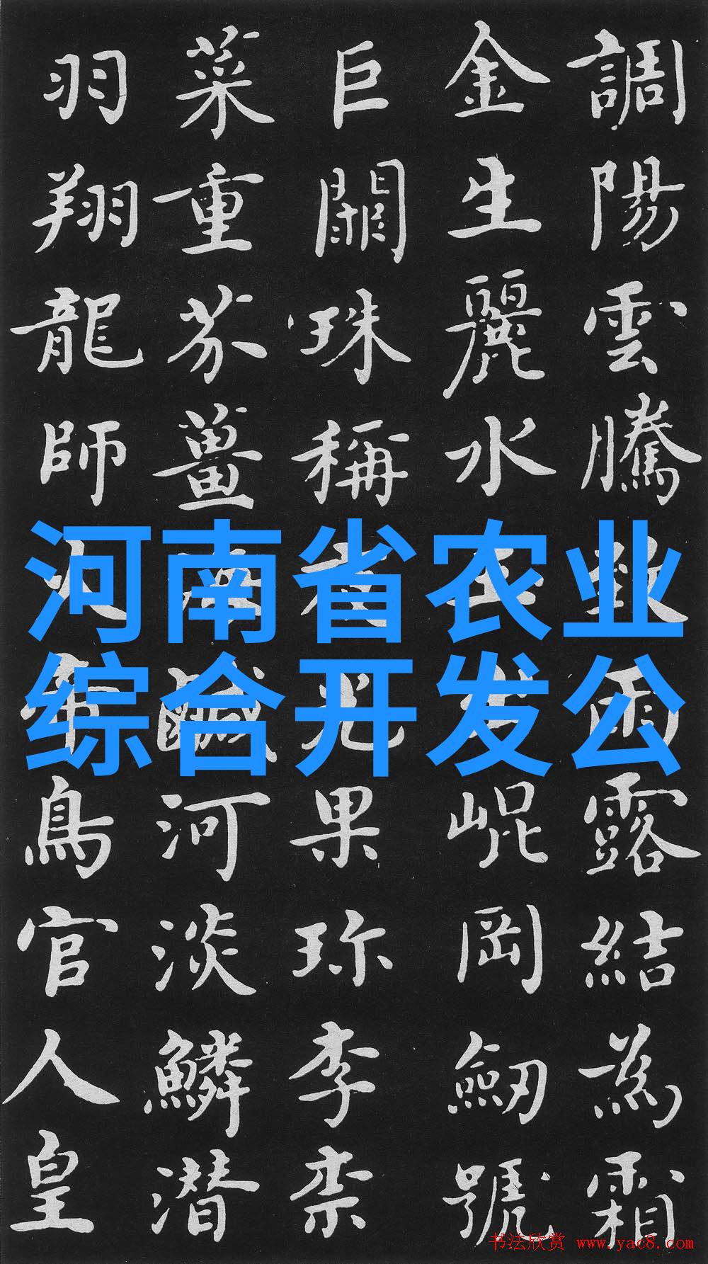 10项成果入选2024中国农业科学重大进展