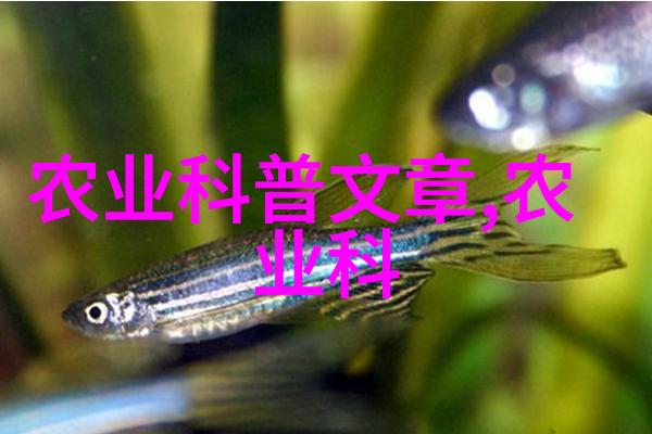 蜂蜜与危险揭秘养蜜蜂人癌症风险的背后原因