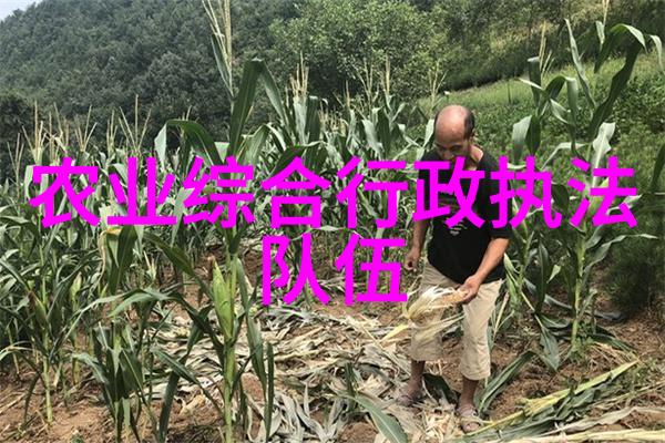 蜜源计划蜂蜜梦想的甜蜜助力