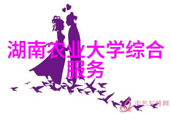 蜜蜂养殖技术视频我来教你如何让蜜蜂忙碌到不想飞走