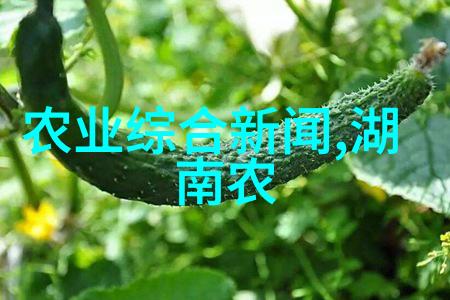 高腿小尾寒羊的品种特征生产性能与生活习性在自然养牛饲料配方中的应用研究