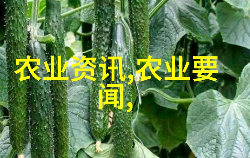 黄粉虫的养殖技术-精准栽培掌握黄粉虫养殖的关键要素