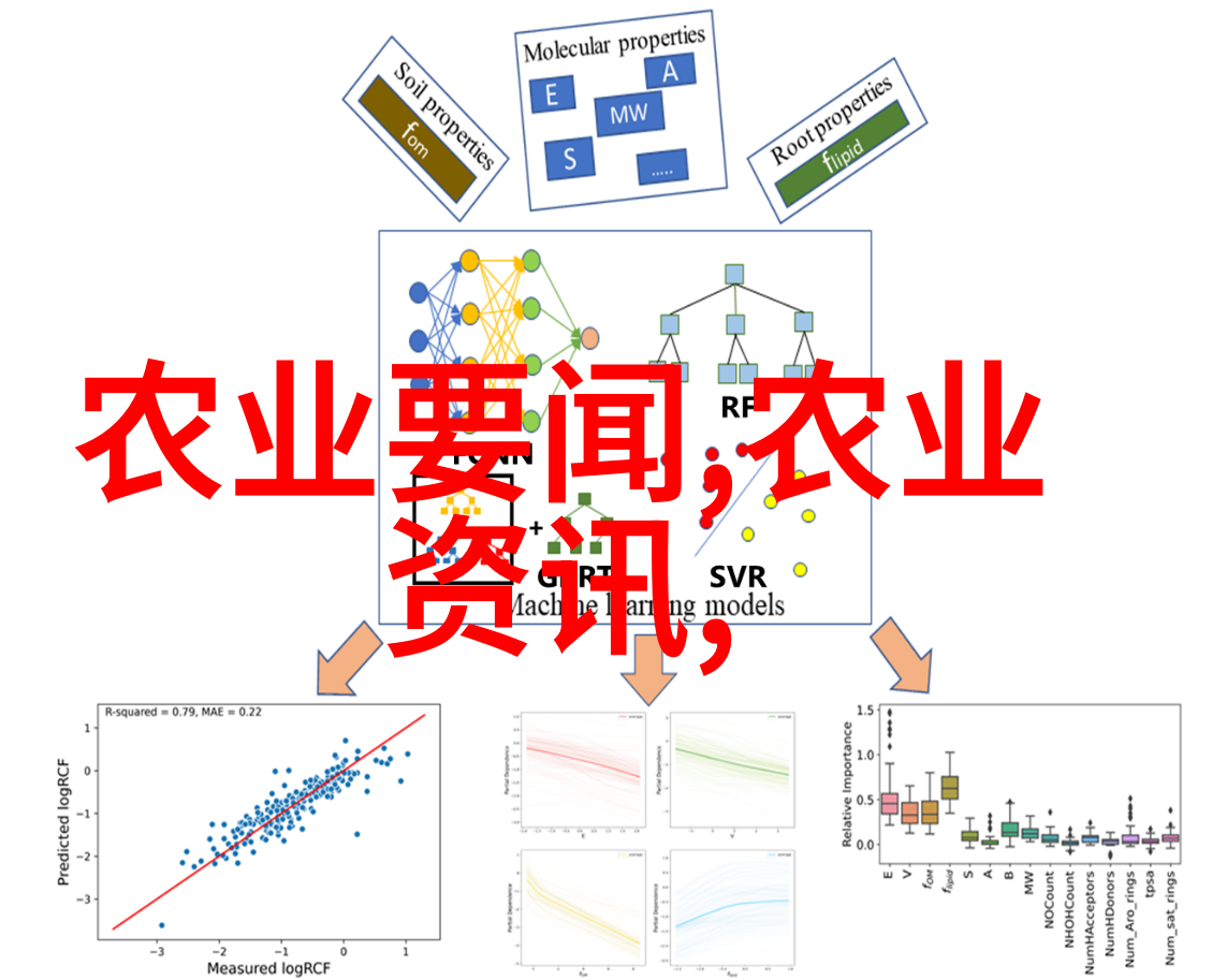 新手养蜂技术我的蜂友之路