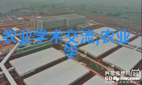 农村种植养殖业有什么项目我在田间学的那些养活自己的秘诀