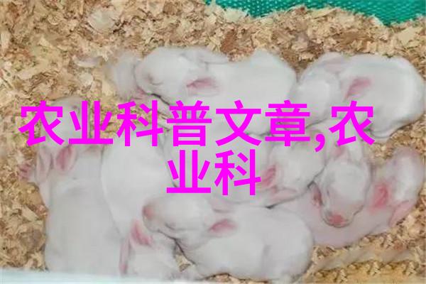 小龙虾养殖技术我来教你怎么把小龙虾养得肥壮又多