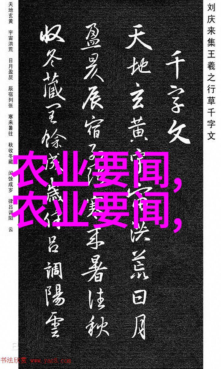 浙江温暖乡村稻豆轮作的绿色足迹共鸣秸秆打包机技术现场心灵相连