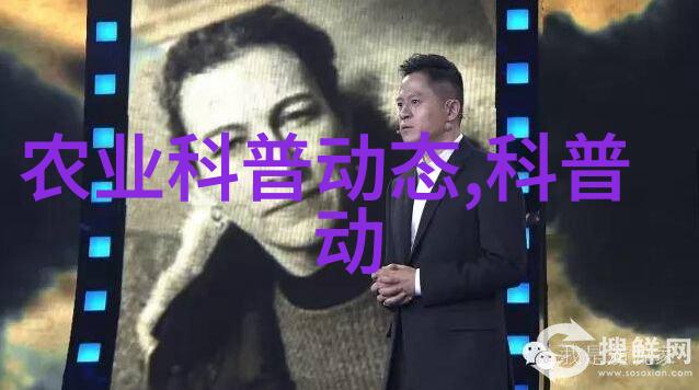 过量补充矿物质与维生素是否会导致多胎现象详细分析其影响