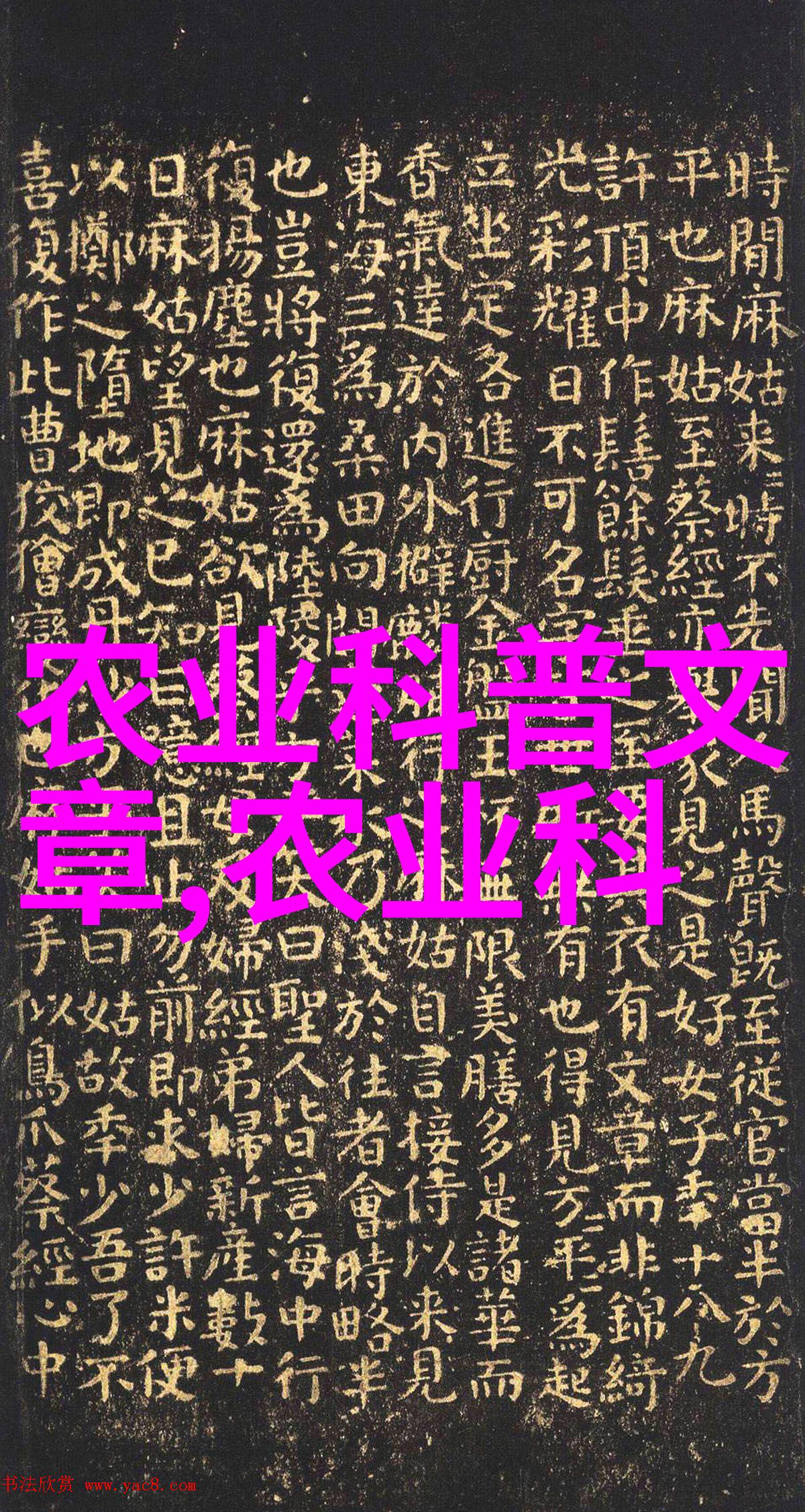 城市扩张与生态保护如何高效利用新增建设用地空间