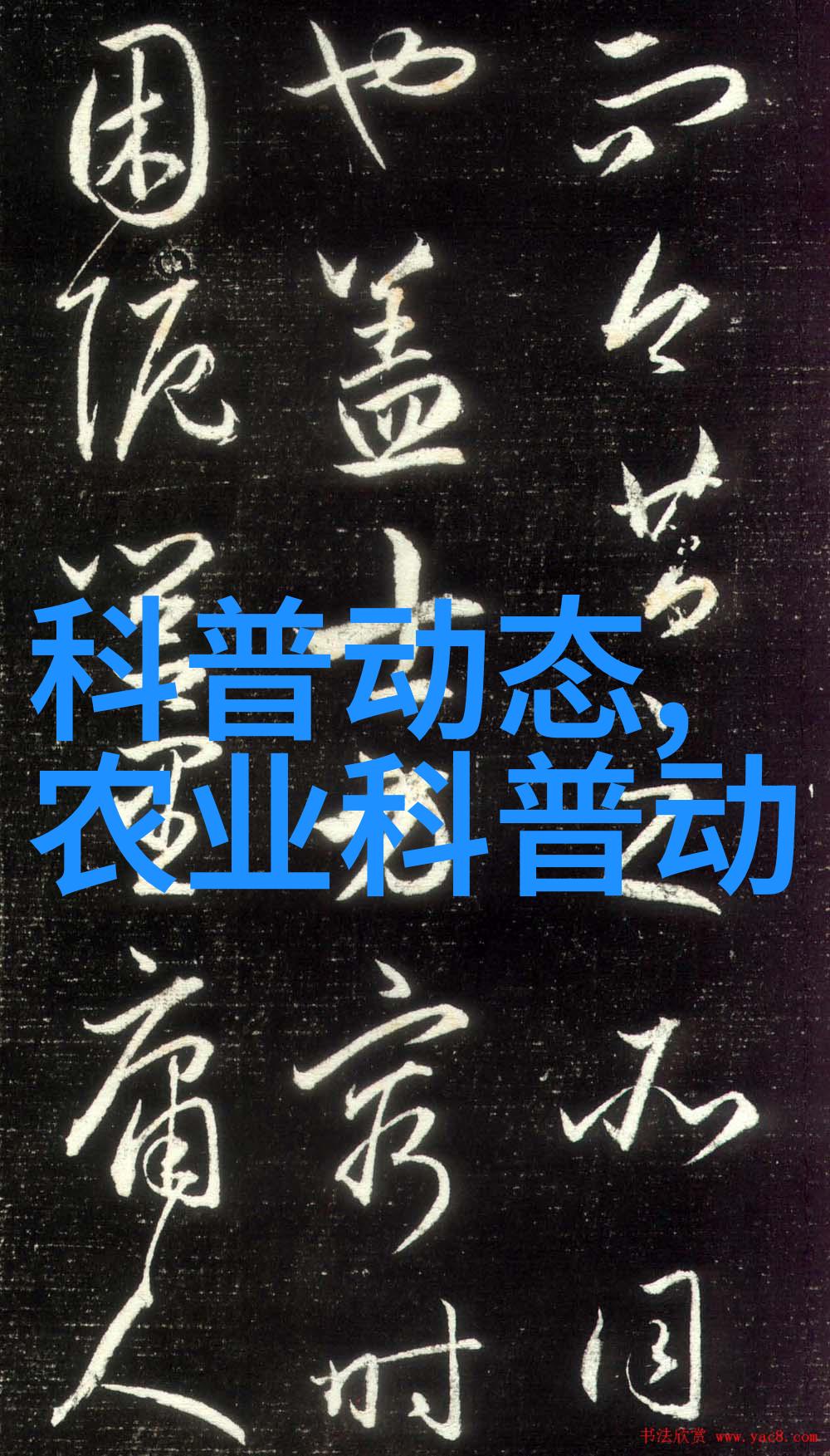 社会对奶牛养殖业前景的思考与养殖羊补贴政策2021标准的关联分析