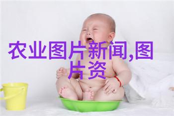 养牛健胃探索草原上的消化健康