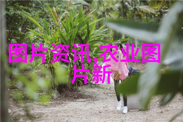 低成本养猪秘诀-经济效益双丰收揭秘高效低投入的养猪妙招