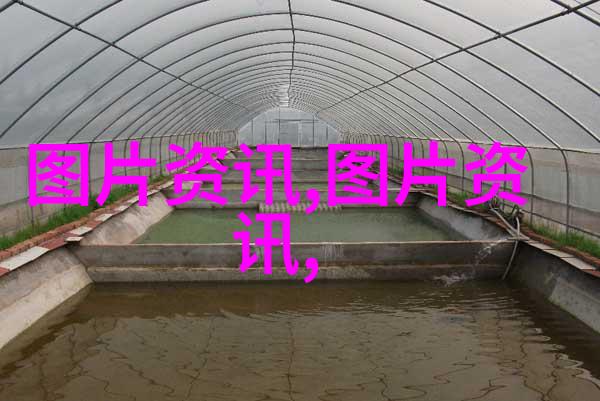 绵羊乐园如何选择合适的建筑材料和设计方案来建造高效羊养殖大棚