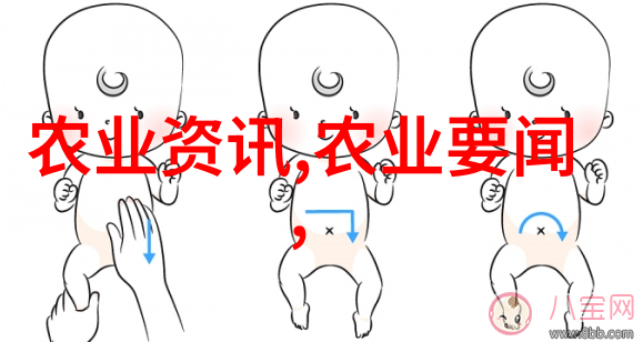 养鱼技术全集水产养殖的科学与实践