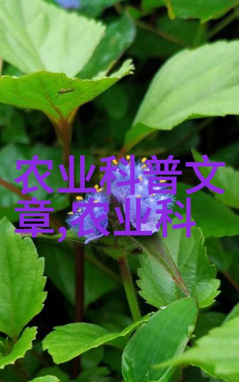 蜜蜂资讯我来告诉你这些花儿是怎样吸引蜜蜂的