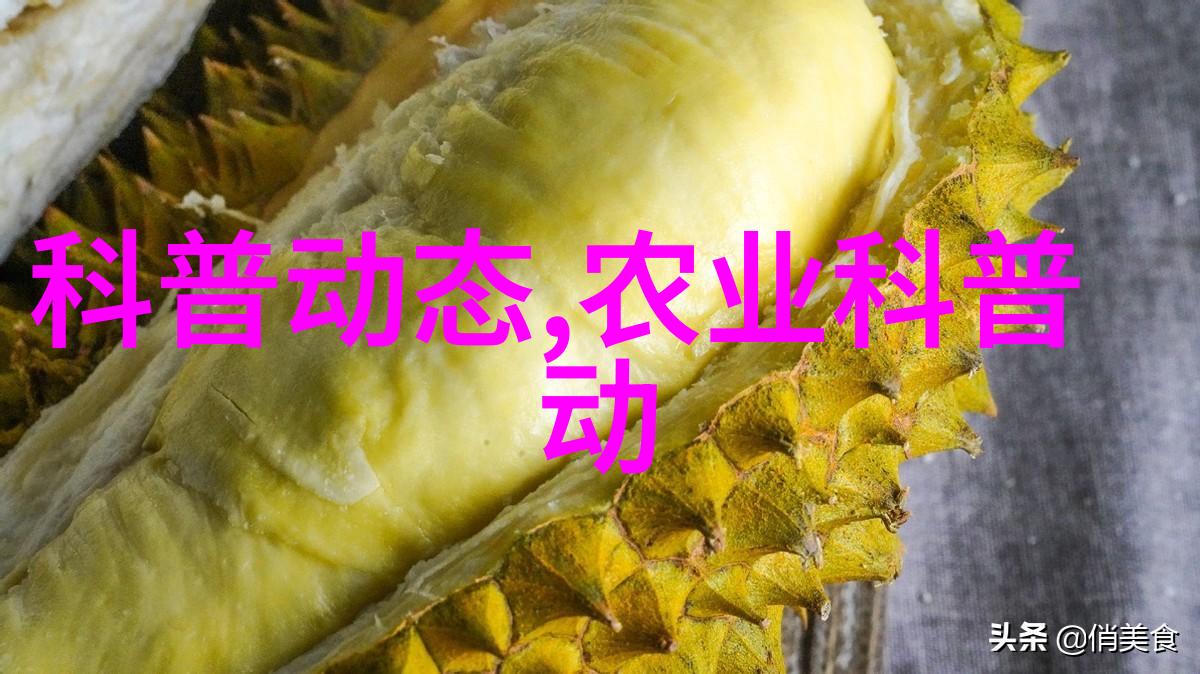 2022年搞养殖业养什么最佳菠萝蜜种植采果后的施肥秘诀大揭秘