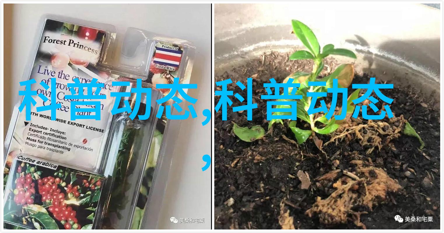 专家建议不要在卧室摆放植物别让绿意盎然的朋友占据你的睡眠空间了