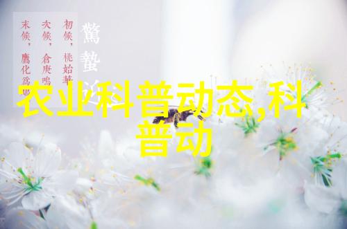 养蜂技术与管理精要