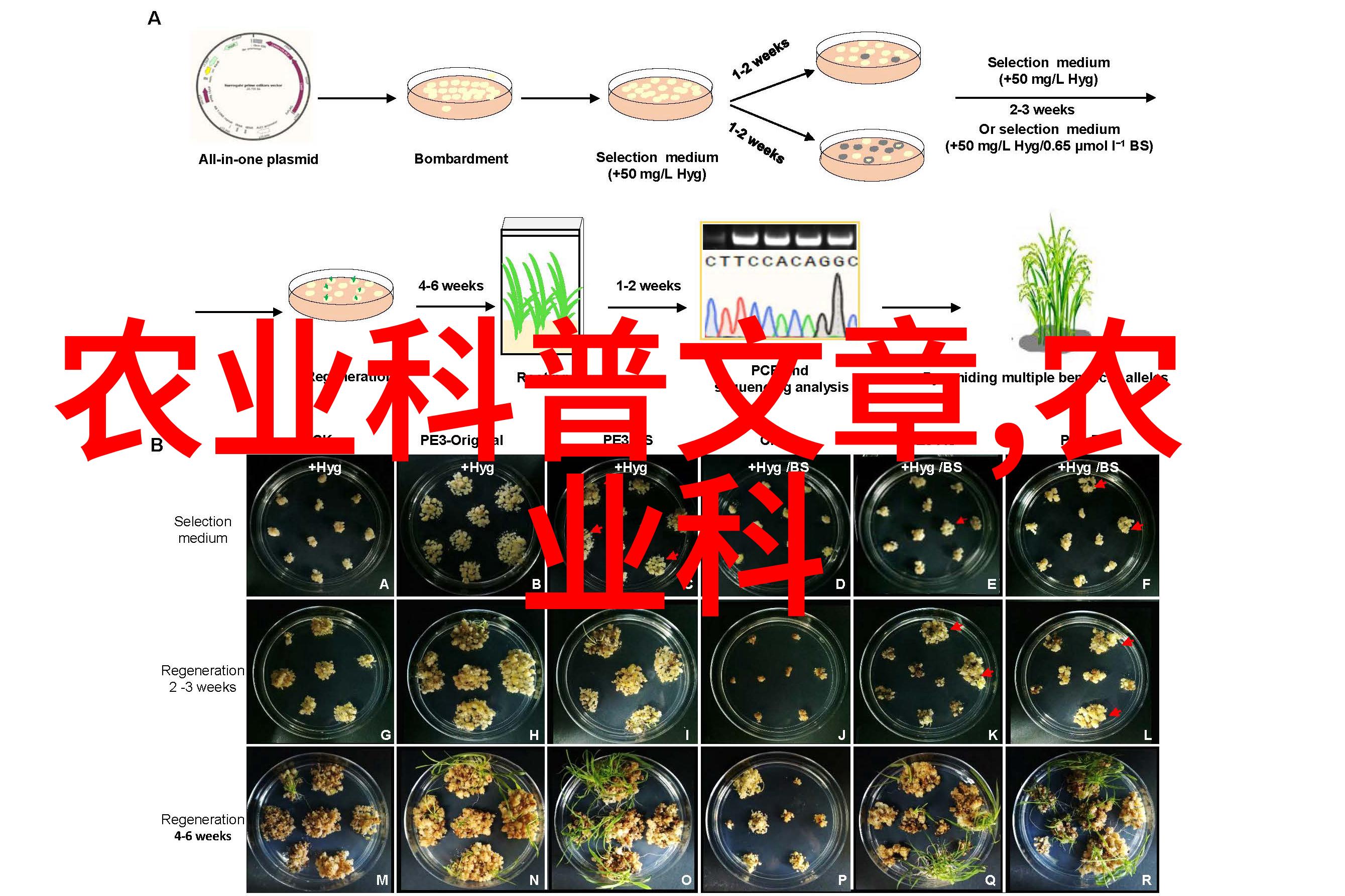 未来技术发展将如何推动新一代高效节能的农机配件出现