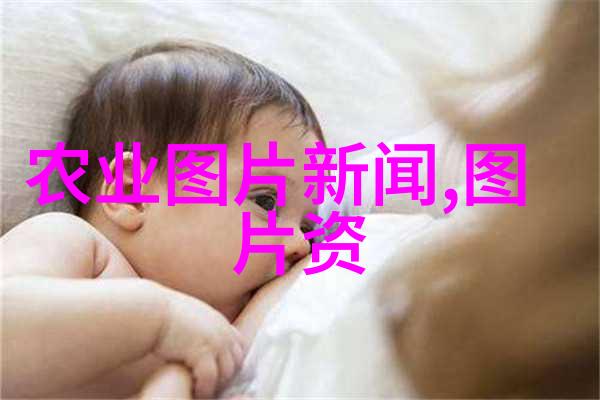 中国养牛技术网引领乳业发展的智慧之光