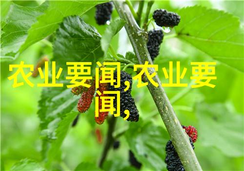 生物领域的人才培养机制探究以徐州生物工程职业技术学院为例