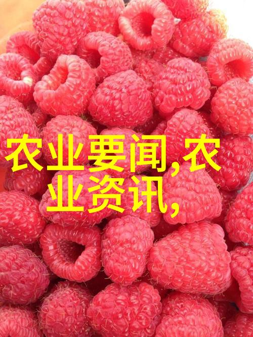 粮食的新时代吸粮机如何改变我们的食物获取方式