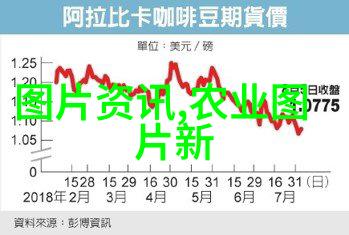 18公分天竺桂的香气园艺小秘密与市场价位