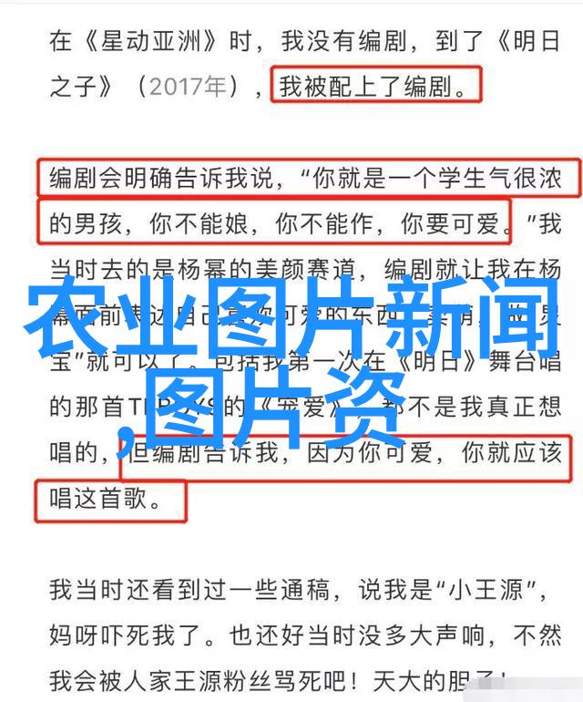 养蜂百科理解蜂群社会结构与管理技巧