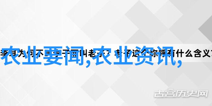 习出席澳门特别行政区政府欢迎晚宴并发表重要讲话