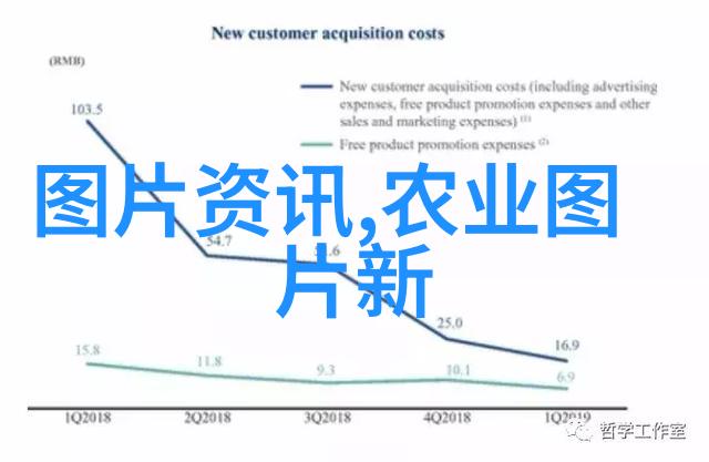 2023年农村养殖业的金钱机遇揭秘最赚钱的生意